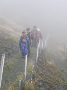 Saddle Mountain Oct 9 2005 028 